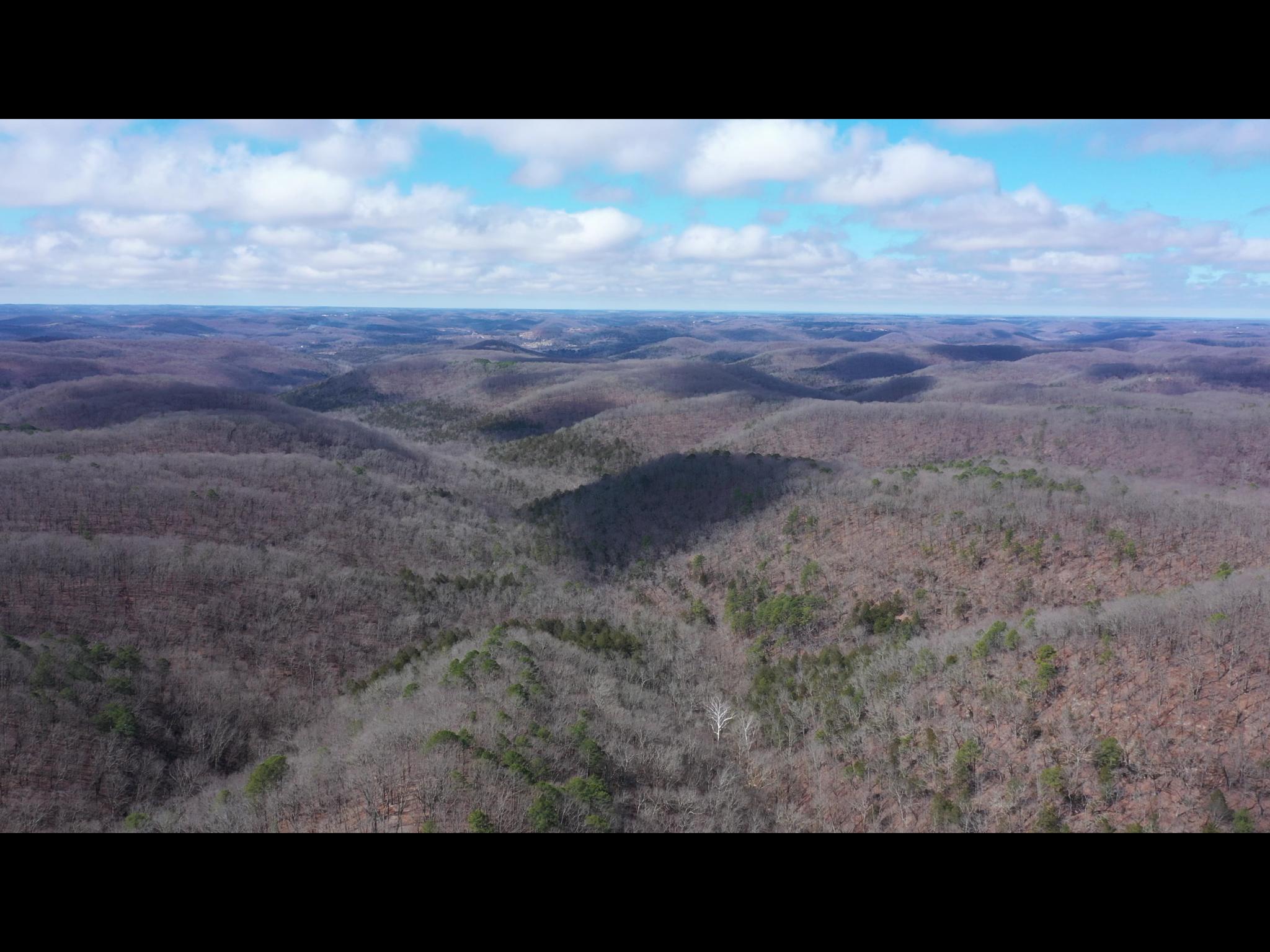 0 Pine Ridge Road Forsyth, MO 65653 - Photo 1 of 1 DFE42476-6745-4053-A9C1-81A29A18E56C