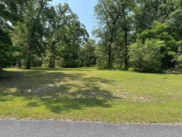 $250,000 | Lot 13 Strattonwood Place, Crawfordville, FL 32327