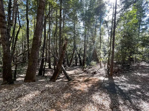 $159,000 | 53800 Highway 101, Laytonville, CA 95454