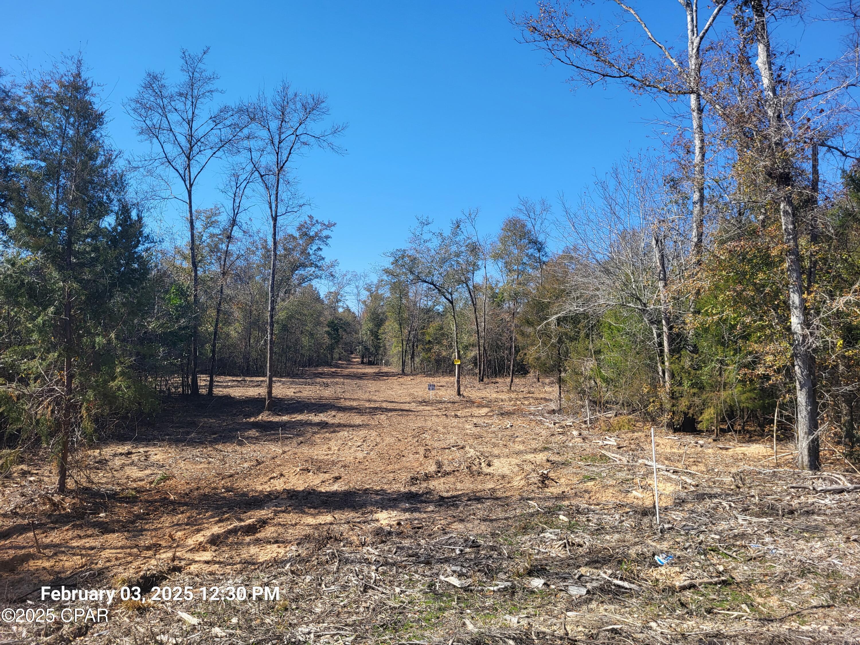 0 Tommy Tucker Road, Unit LOT 2 Altha, FL 32421 - Photo 3 of 26