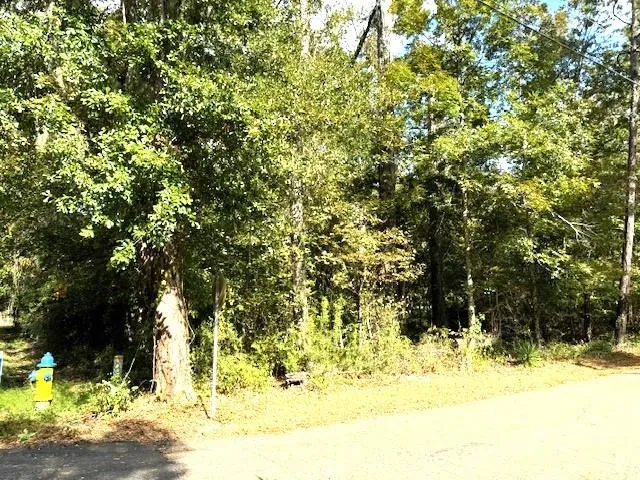 $225,000 | 551 Colbert Street, Mandeville, LA 70448