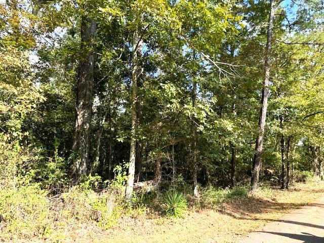 551 Colbert Street Mandeville, LA 70448 - Photo 2 of 8