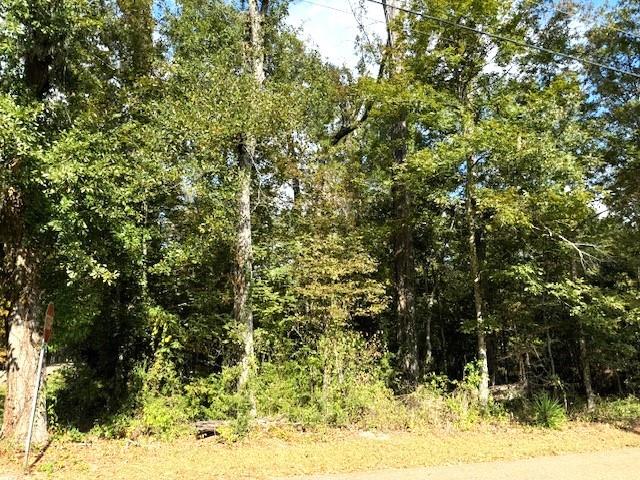 551 Colbert Street Mandeville, LA 70448 - Photo 3 of 8