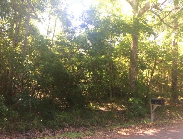 551 Colbert Street Mandeville, LA 70448 - Photo 4 of 8