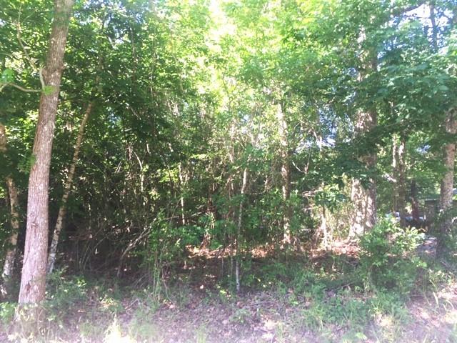 551 Colbert Street Mandeville, LA 70448 - Photo 5 of 8