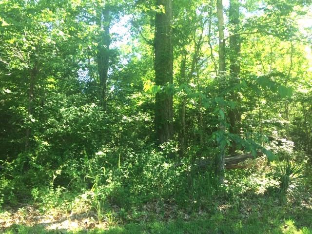 551 Colbert Street Mandeville, LA 70448 - Photo 6 of 8