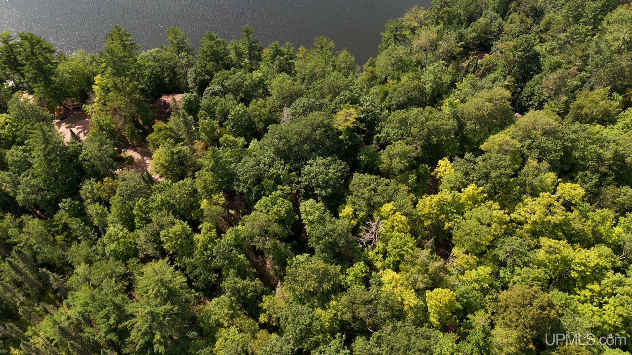 Tbd West Paint Lake Road Iron River, MI 49935 - Photo 6 of 14