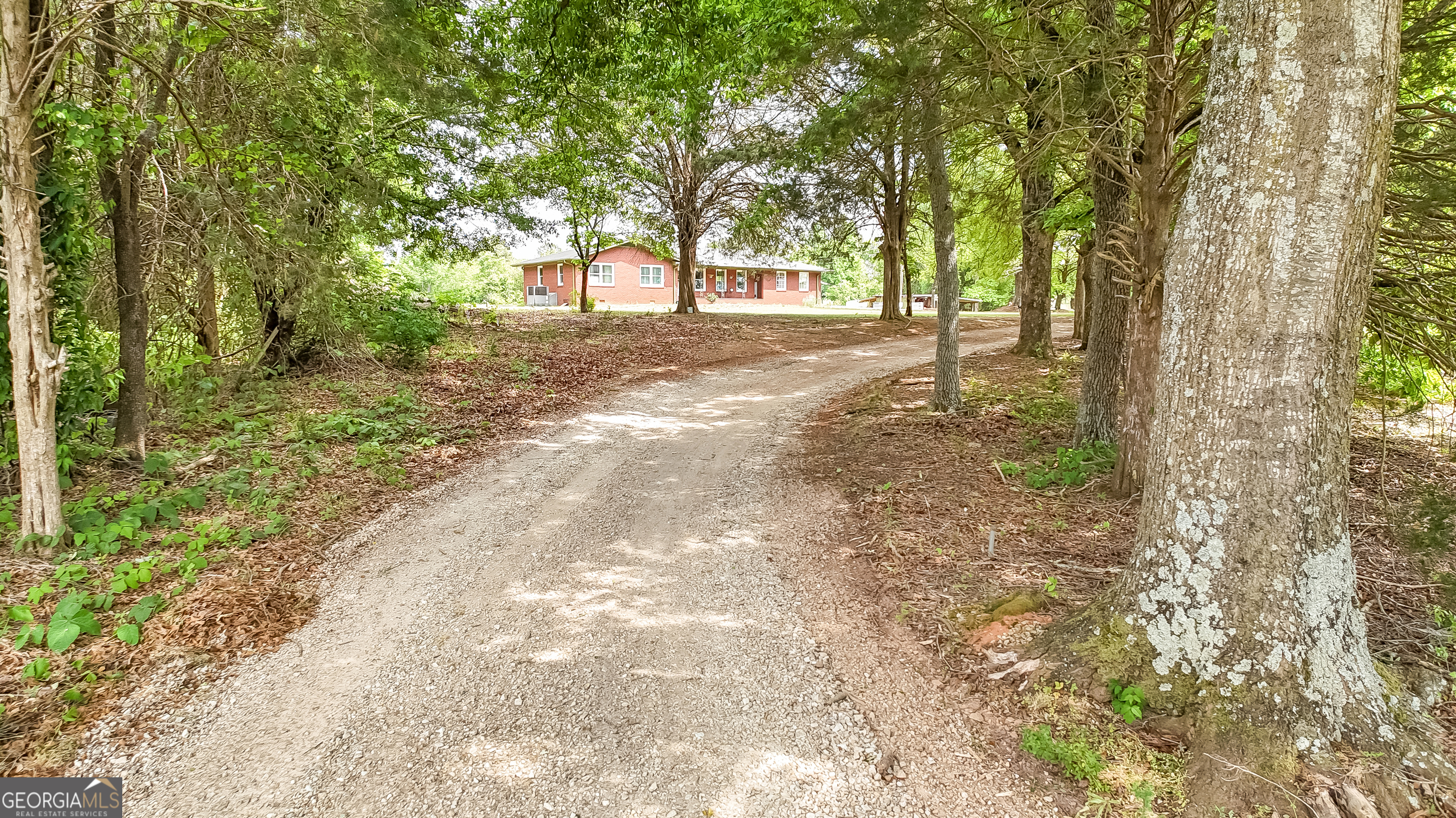 127 Akins Bridge Road Eastanollee, GA 30538 - Photo 3 of 52 a view of yard with trees