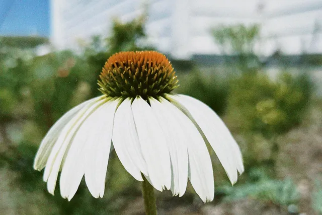 $1,799,000 | 4029 Serenbe, Middleton, WI 53562