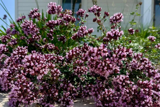 $1,799,000 | 4029 Serenbe, Middleton, WI 53562