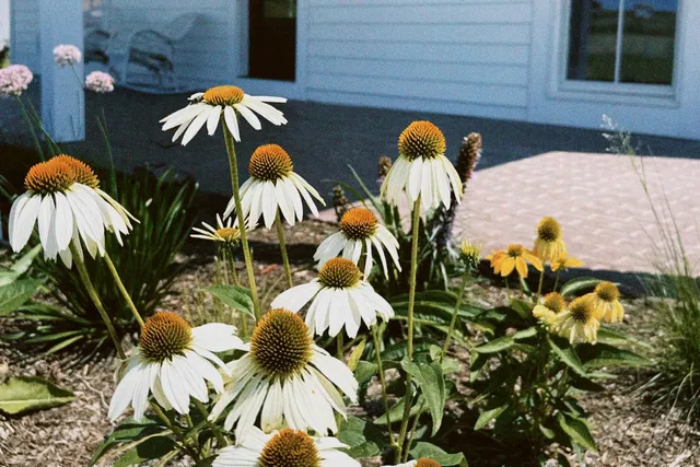 $1,799,000 | 4029 Serenbe, Middleton, WI 53562