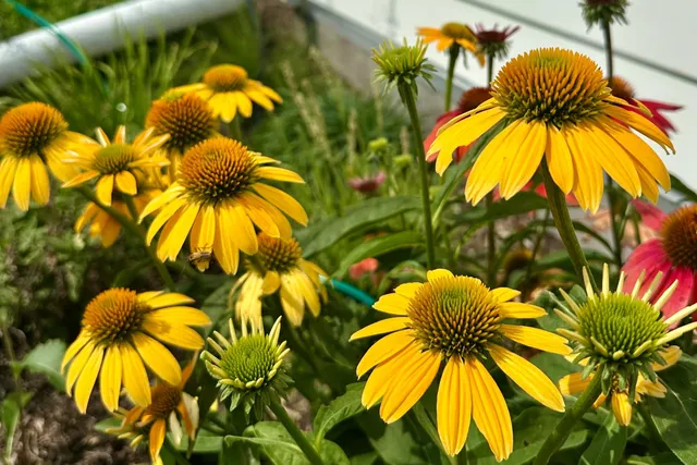 $1,799,000 | 4029 Serenbe, Middleton, WI 53562