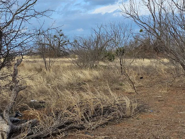 $80,000 | 540 Farm To Market 585, Bangs, TX 76823