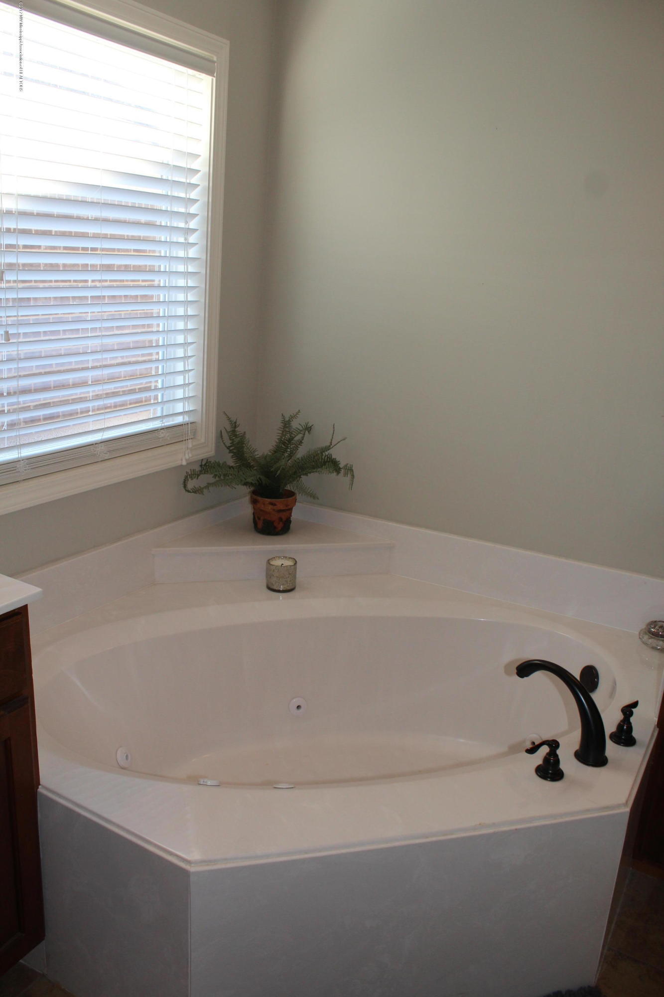 3053 Logan's Loop Hernando, MS 38632 - Photo 15 of 20 IMG_8640