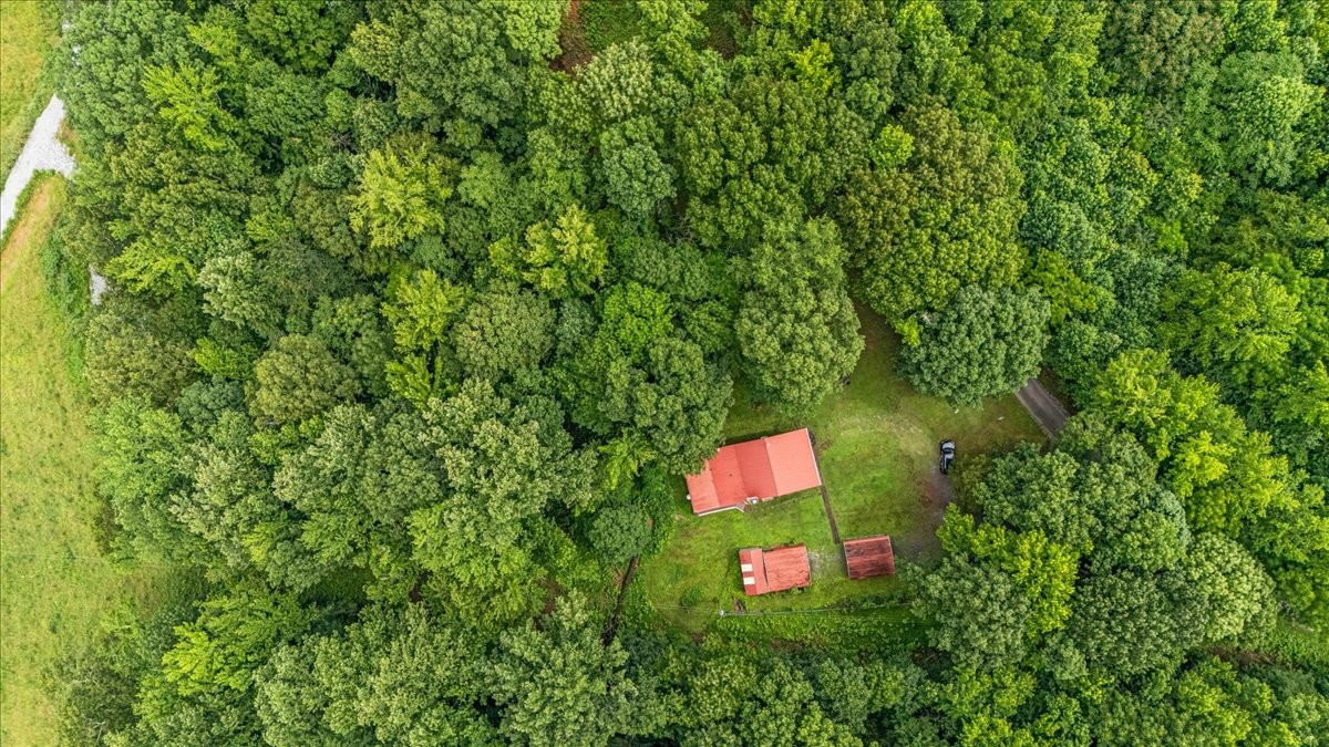 802 Evans Road Winchester, TN 37398 - Photo 34 of 43 a sign that is sitting in the grass next to a road