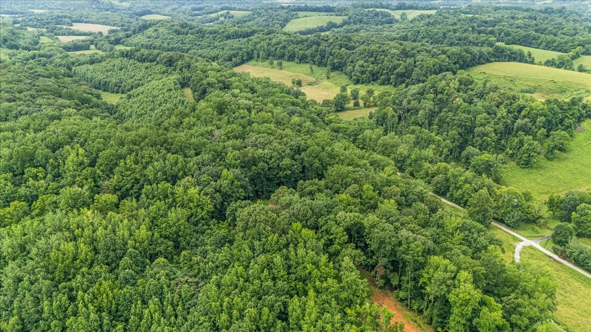 802 Evans Road Winchester, TN 37398 - Photo 36 of 43 a view of a lush green forest