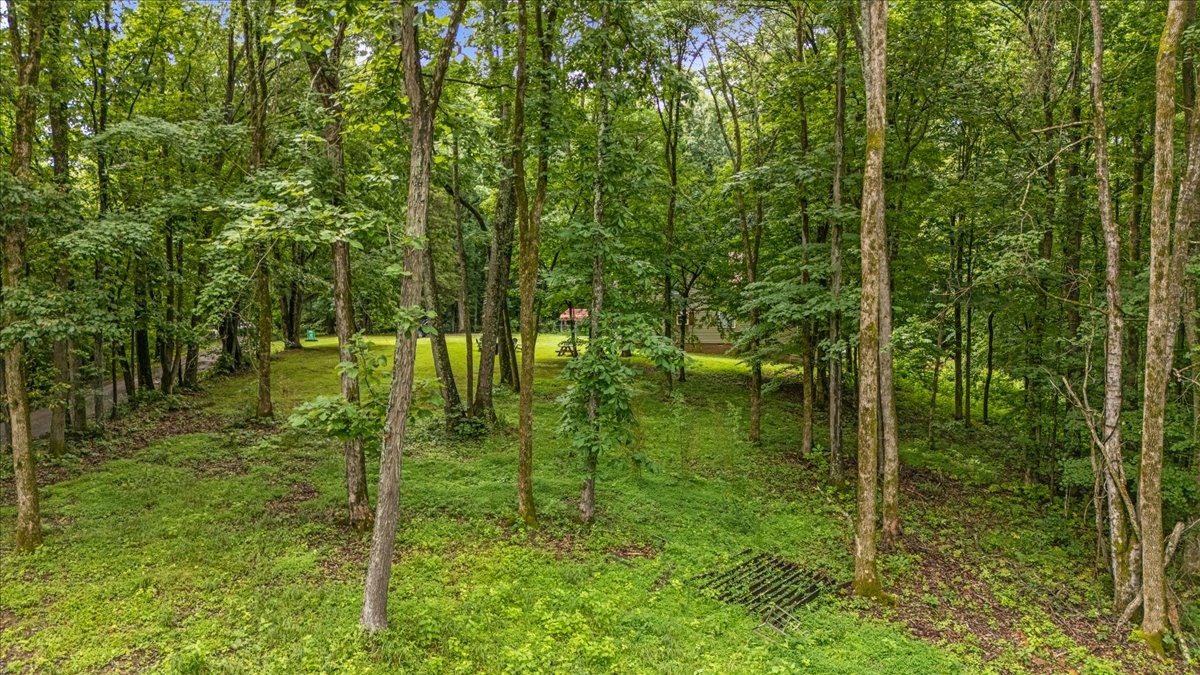 802 Evans Road Winchester, TN 37398 - Photo 38 of 43 a view of a garden