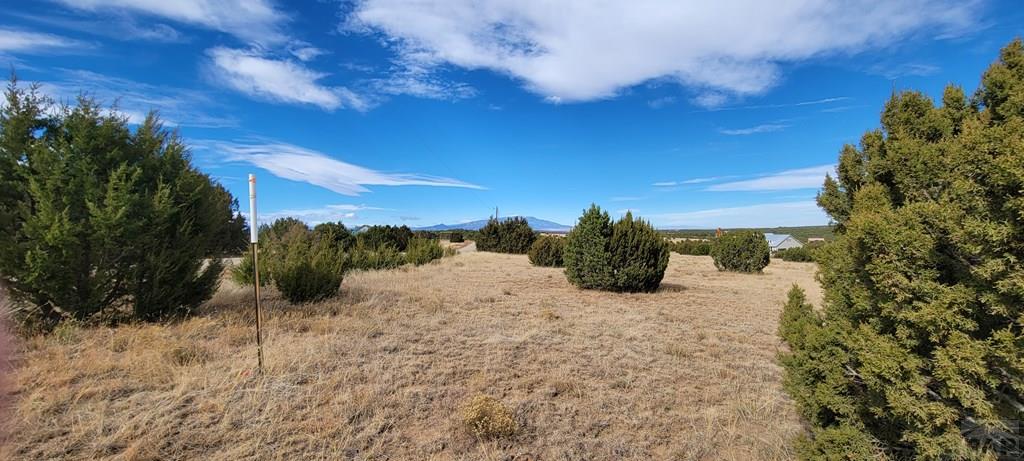 Lot 34 Silver Spur Road Walsenburg, CO 81089 - Photo 38 of 43