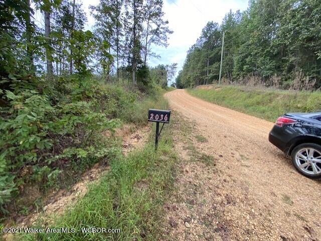 2036 Dodson Road Winfield, AL 35594 - Photo 35 of 37 Gallery Image 35