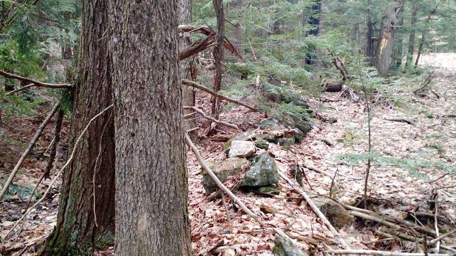 Tbd Beech Ridge Road, Unit LOT 162 North Berwick, ME 03906 - Photo 1 of 2