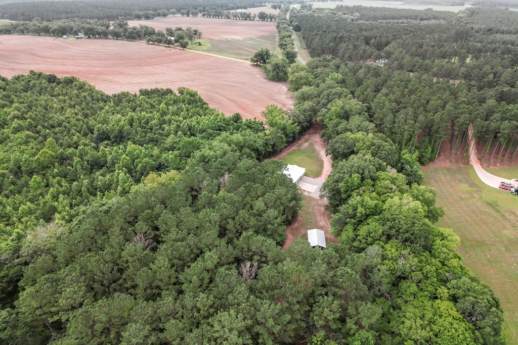 401 Macedonia Road Hartford, AL 36344 - Photo 15 of 61