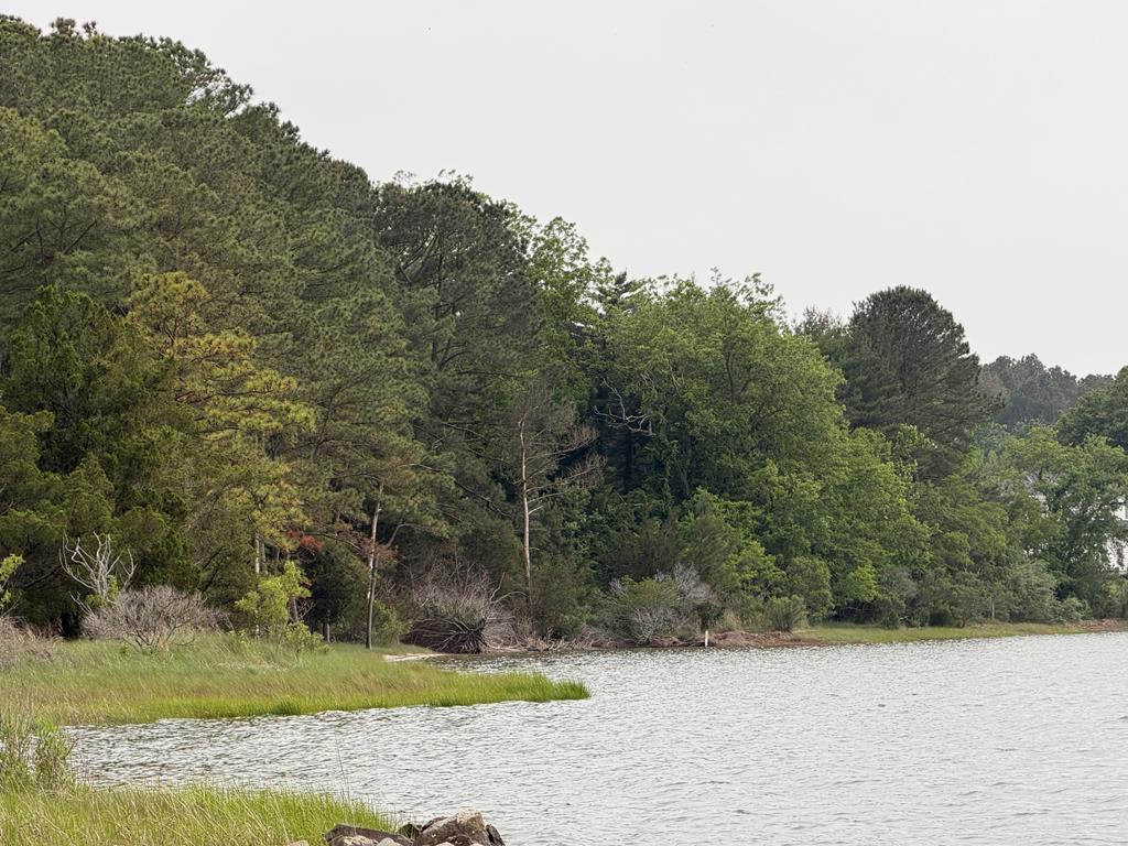 2246 Morley's Wharf Road Exmore, VA 23350 - Photo 40 of 53