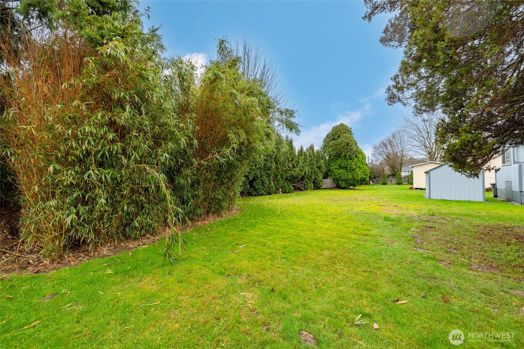 20420 Lafayette Road, Unit 11 Burlington, WA 98233 - Photo 14 of 14 a view of a yard with a tree
