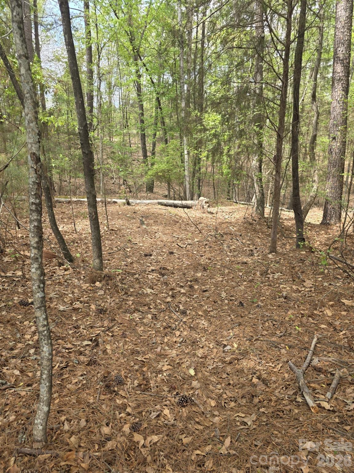 2093 Lometa Road York, SC 29745 - Photo 2 of 10