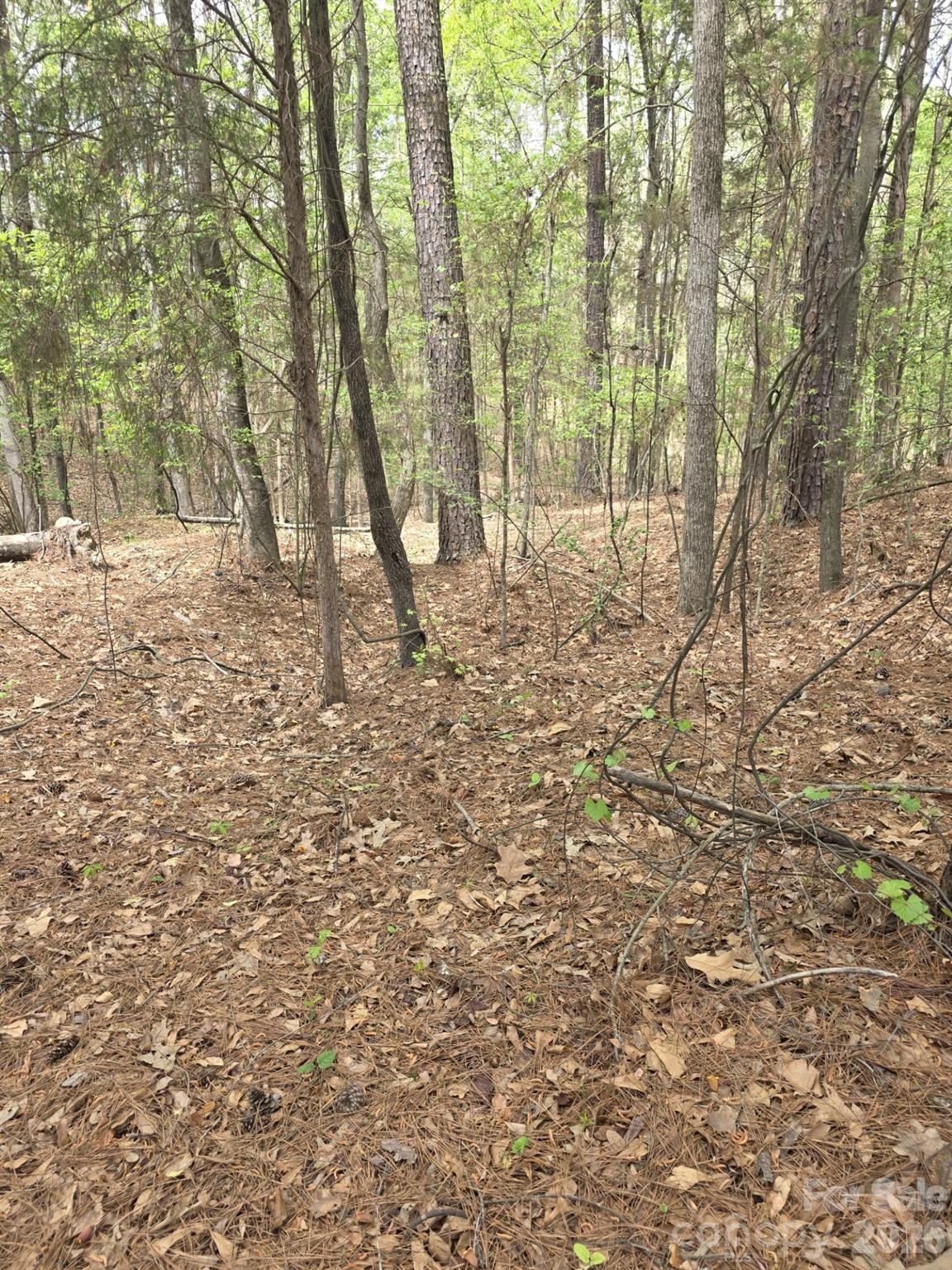 2093 Lometa Road York, SC 29745 - Photo 3 of 10