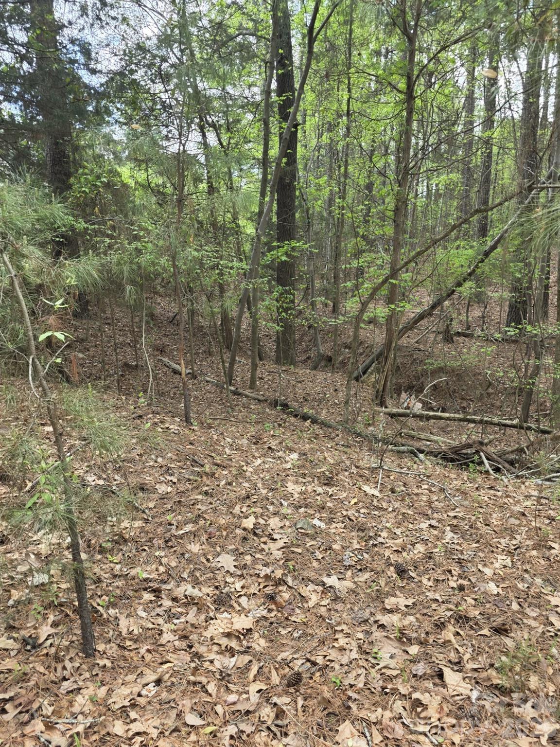 2093 Lometa Road York, SC 29745 - Photo 4 of 10