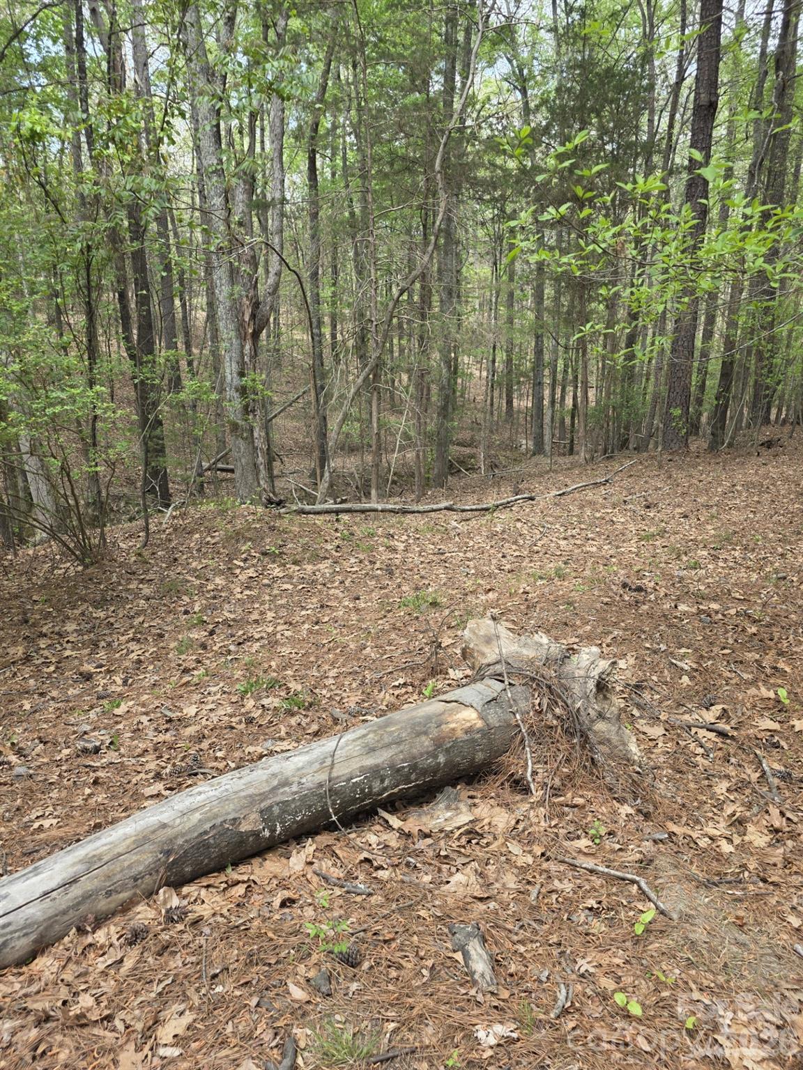 2093 Lometa Road York, SC 29745 - Photo 5 of 10