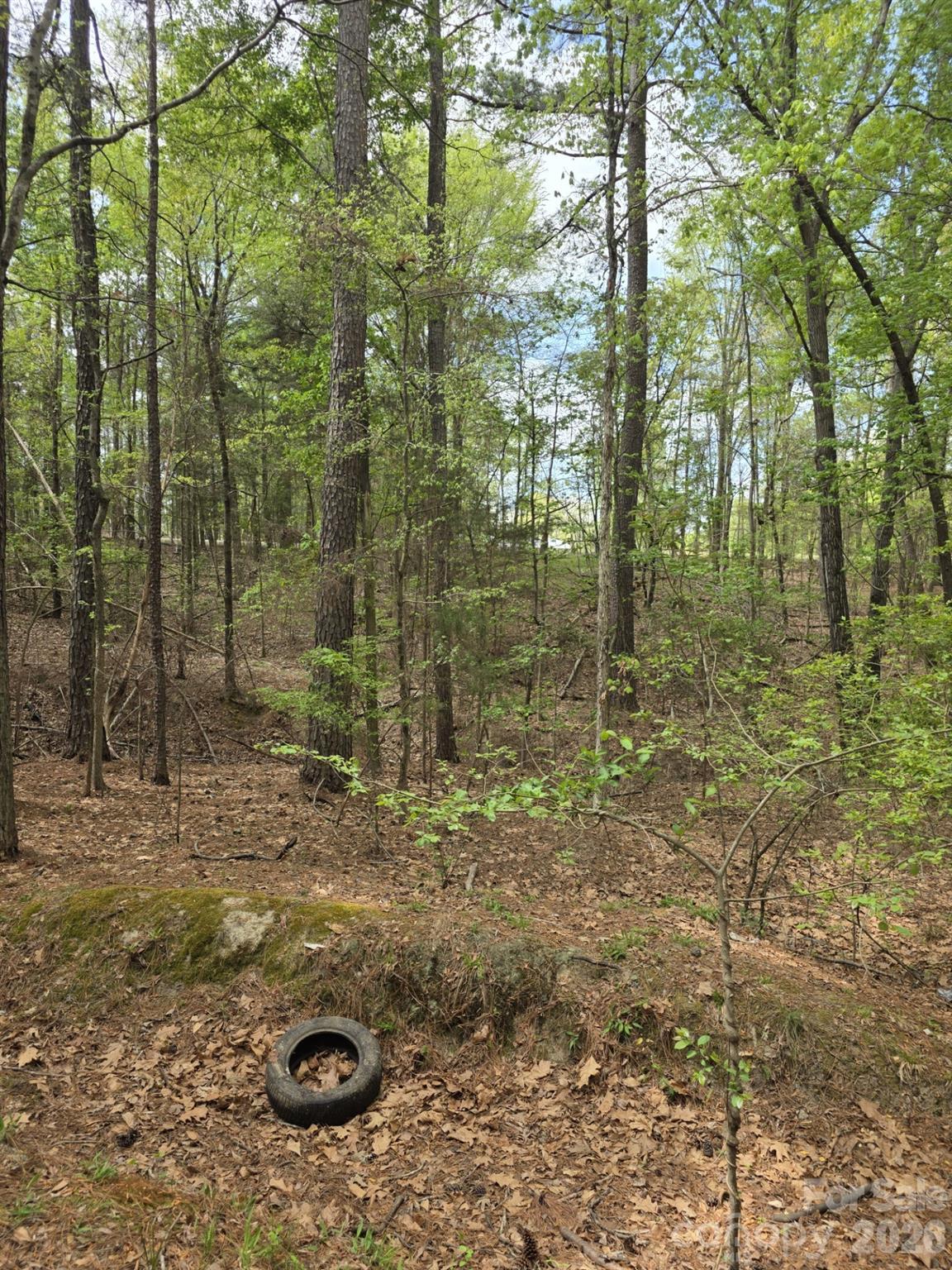 2093 Lometa Road York, SC 29745 - Photo 6 of 10