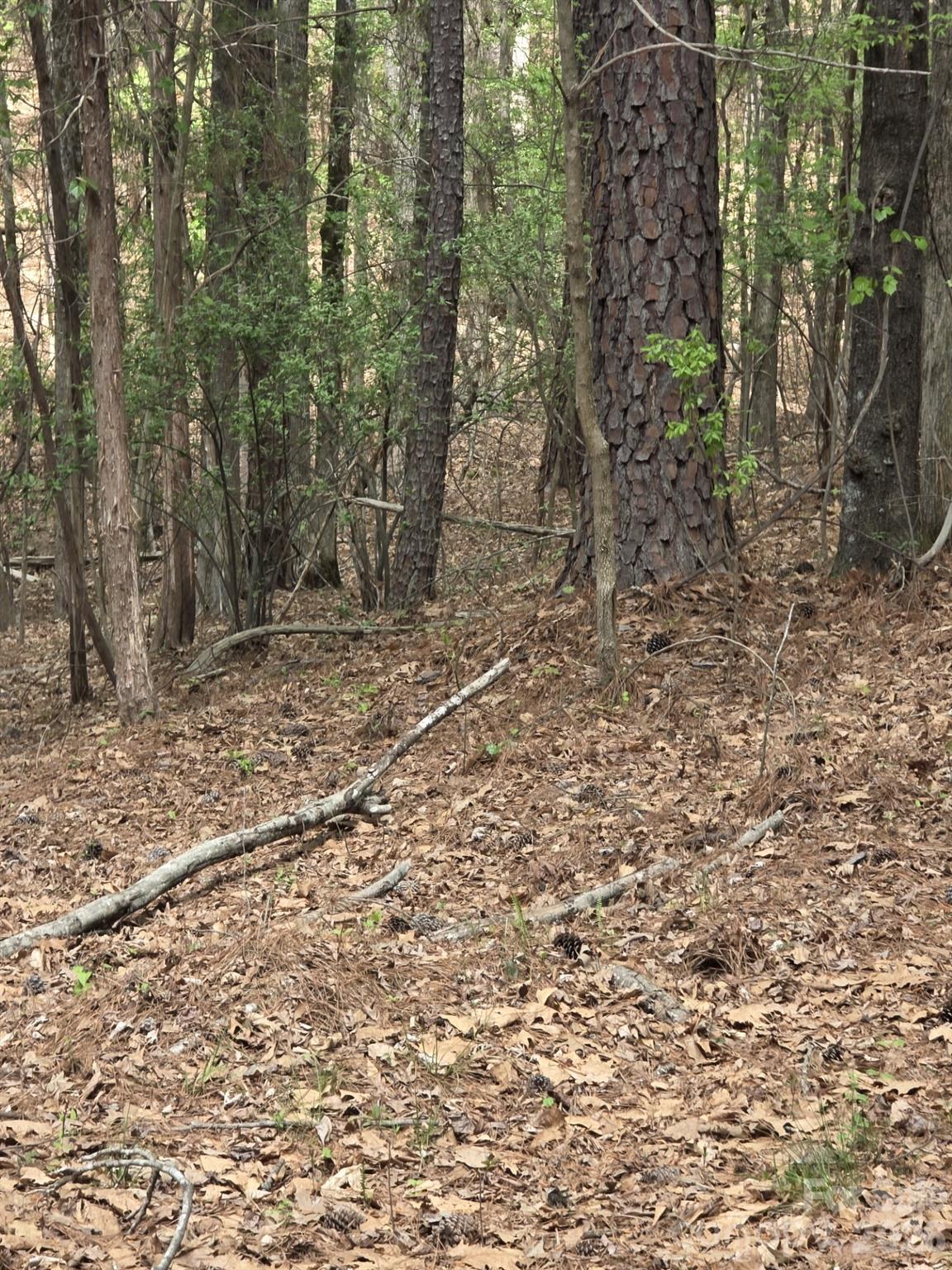 2093 Lometa Road York, SC 29745 - Photo 7 of 10