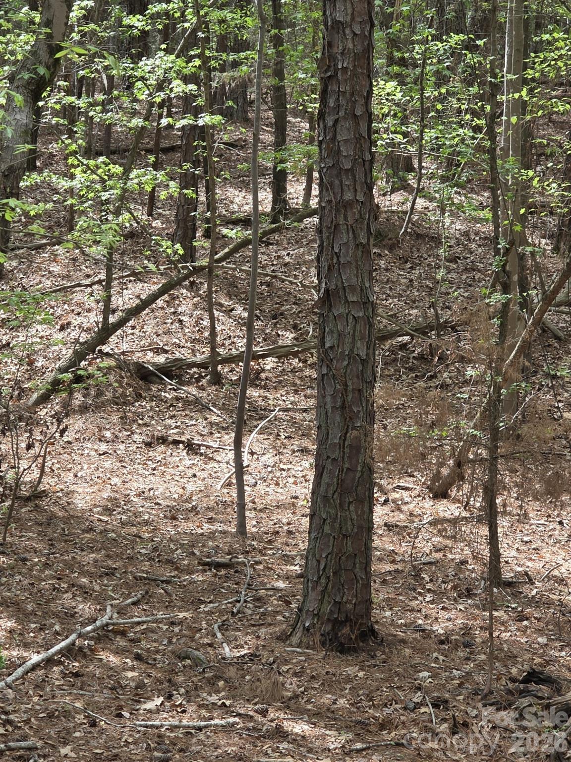 2093 Lometa Road York, SC 29745 - Photo 8 of 10