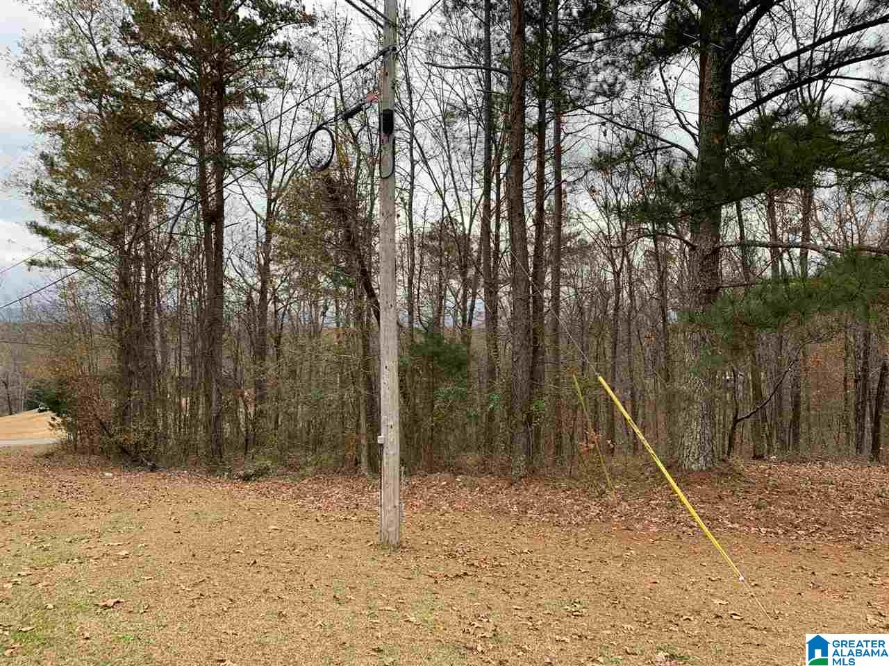 1659 Clara Lane Weaver, AL 36277 - Photo 7 of 17