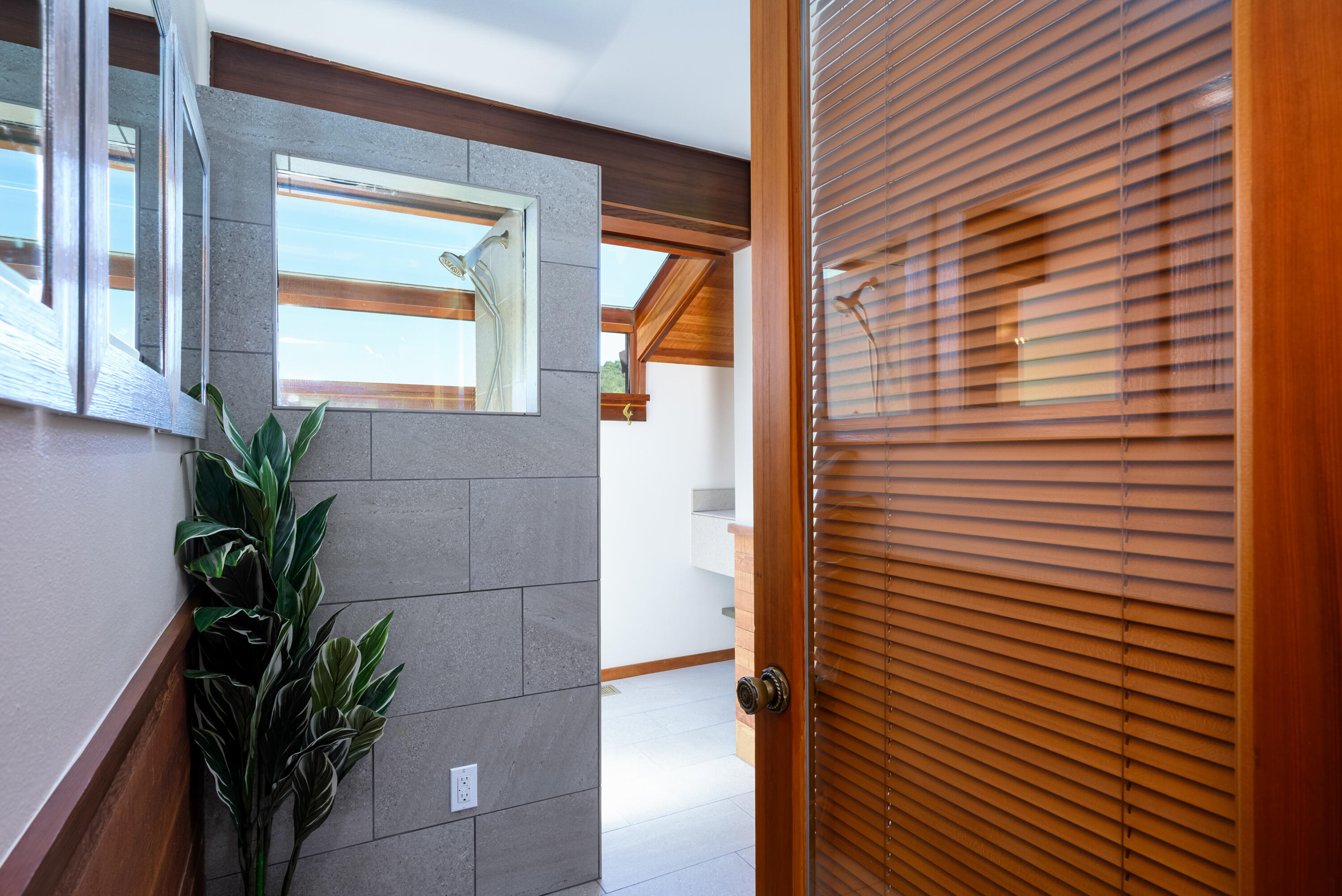 2546 Fisher Road Roseburg, OR 97471 - Photo 19 of 59 a bathroom with a potted plant and a shower