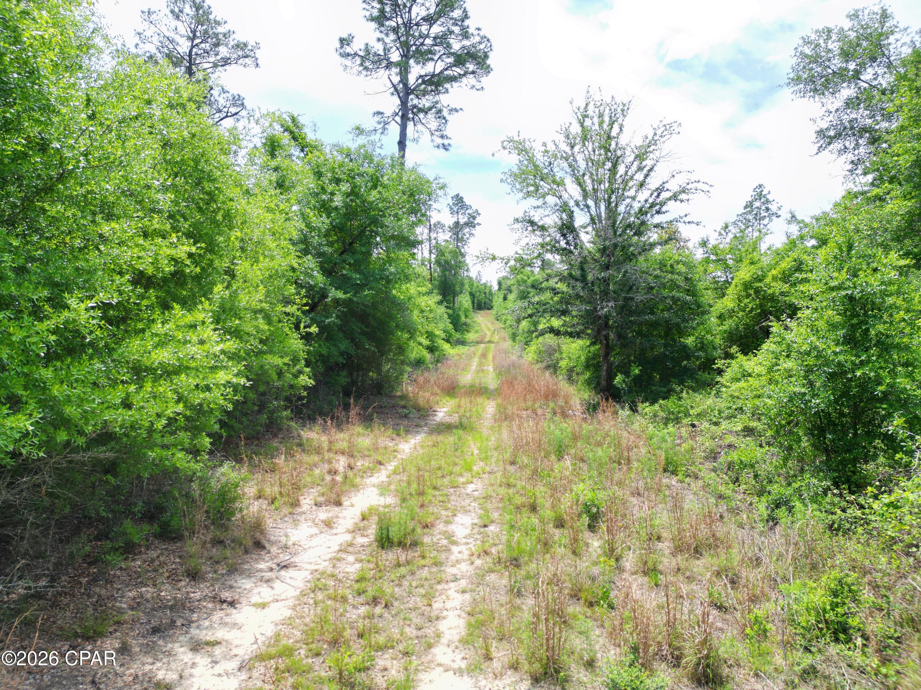 Tbd Pittman Hill Road Marianna, FL 32448 - Photo 3 of 8