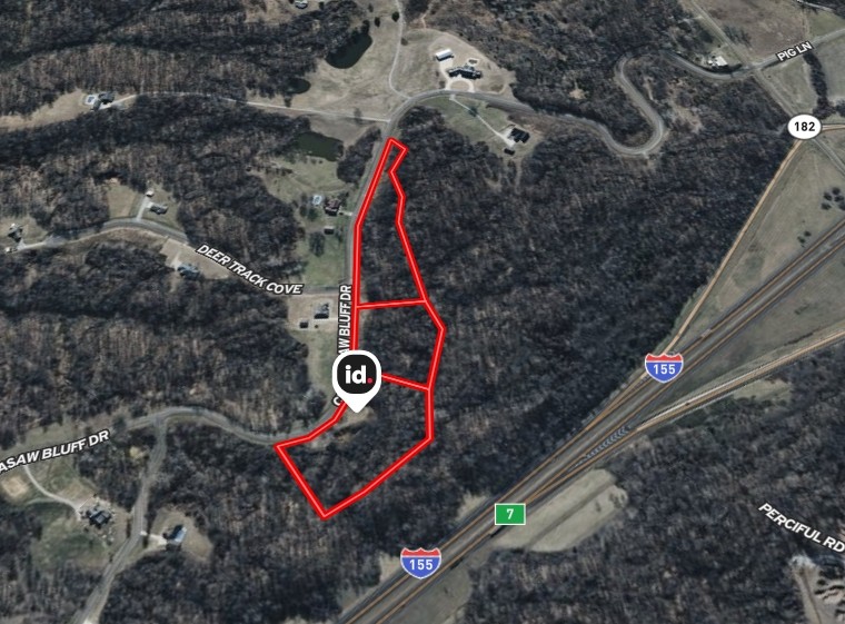 0 Chickasaw Bluff Road Dyersburg, TN 38024 - Photo 6 of 8 a flag on a tree in a field