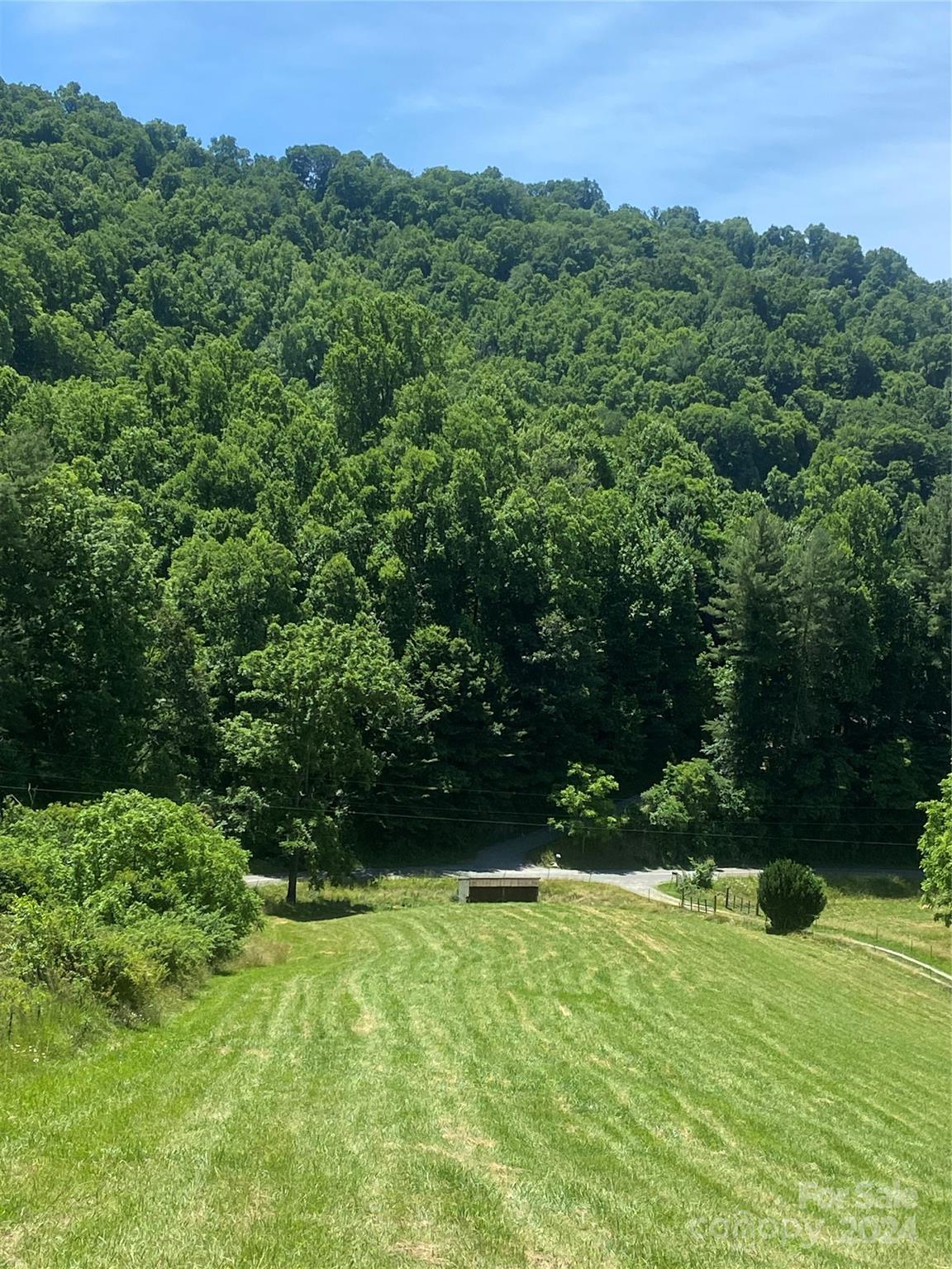 Tbd Morgan Branch Road Marshall, NC 28753 - Photo 1 of 39 Gallery Image 1