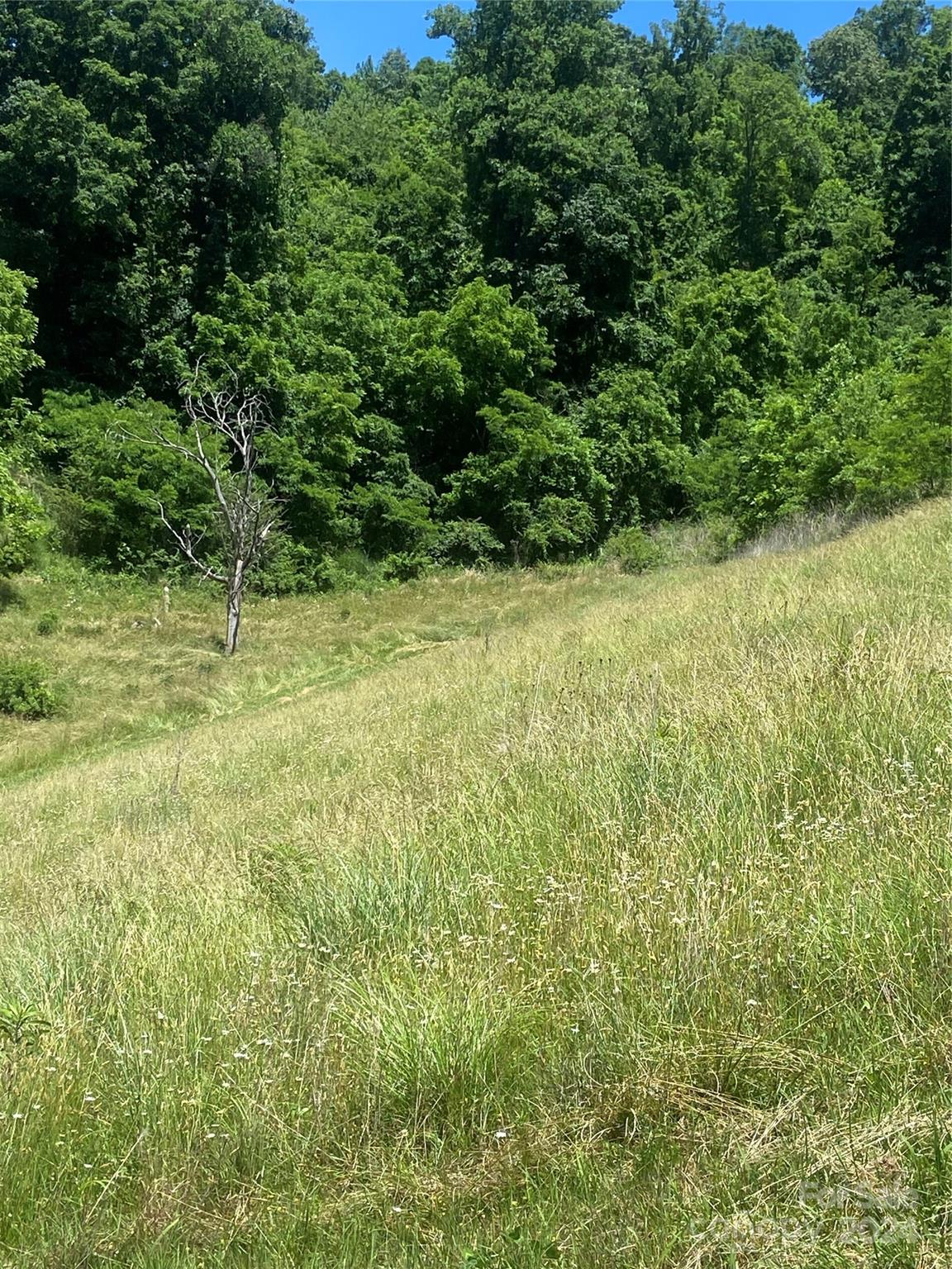 Tbd Morgan Branch Road Marshall, NC 28753 - Photo 12 of 39 Gallery Image 12