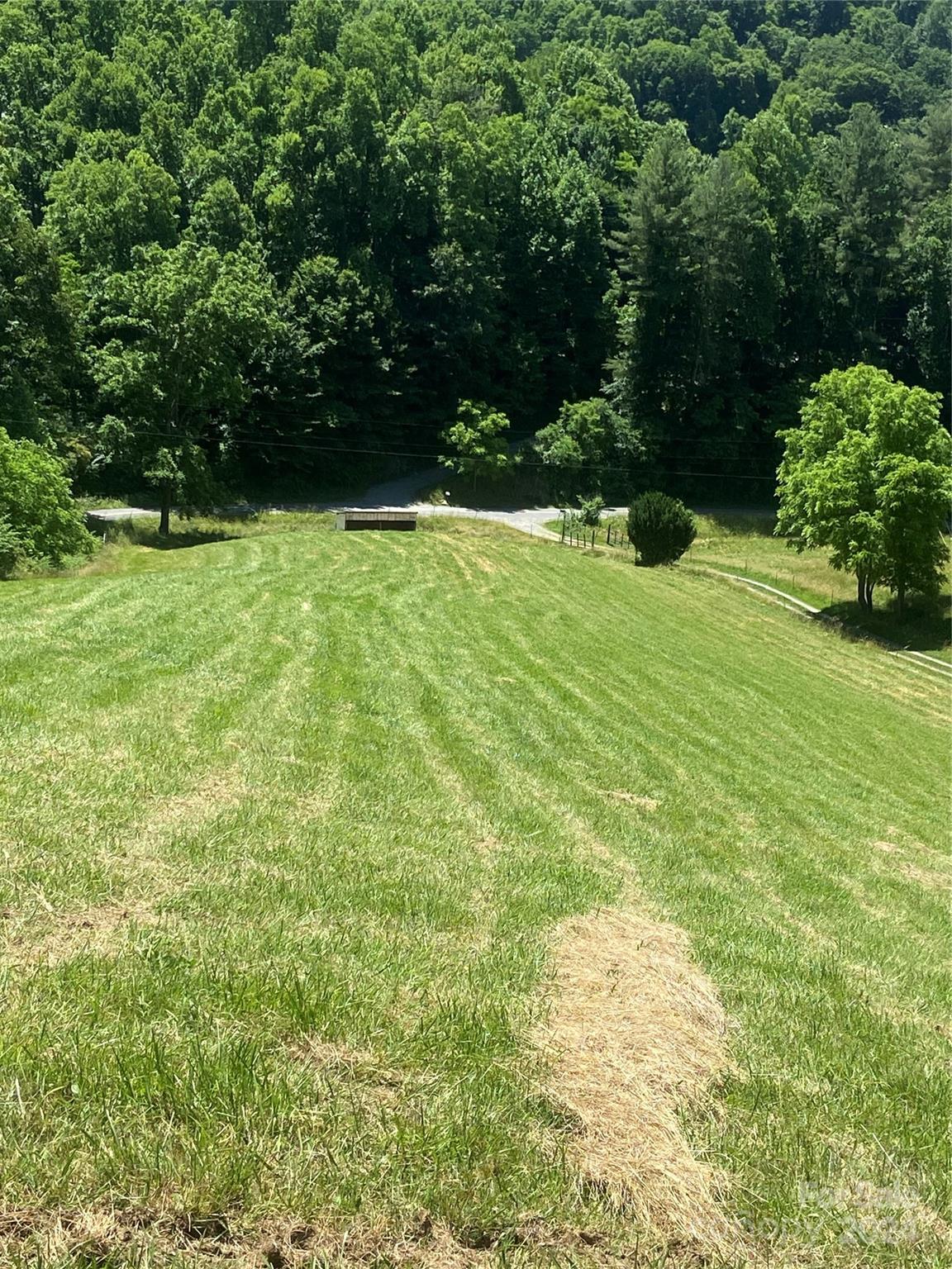 Tbd Morgan Branch Road Marshall, NC 28753 - Photo 14 of 39 Gallery Image 14