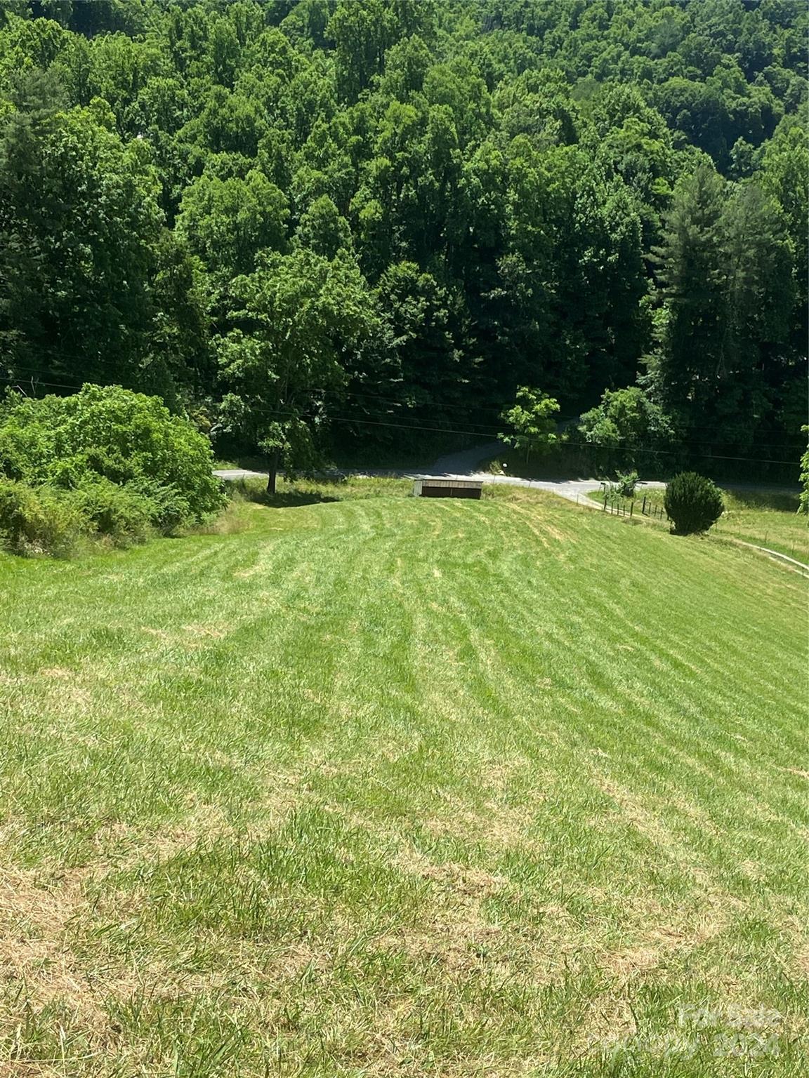 Tbd Morgan Branch Road Marshall, NC 28753 - Photo 19 of 39 Gallery Image 19
