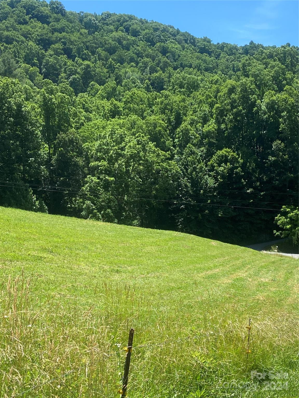 Tbd Morgan Branch Road Marshall, NC 28753 - Photo 23 of 39 Gallery Image 23