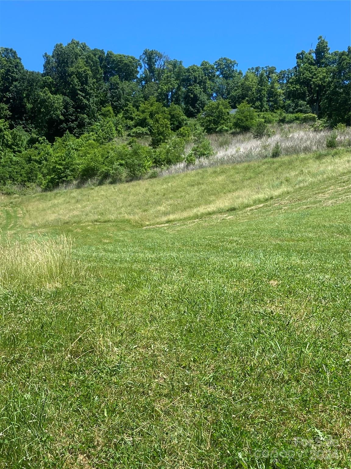 Tbd Morgan Branch Road Marshall, NC 28753 - Photo 29 of 39 Gallery Image 29