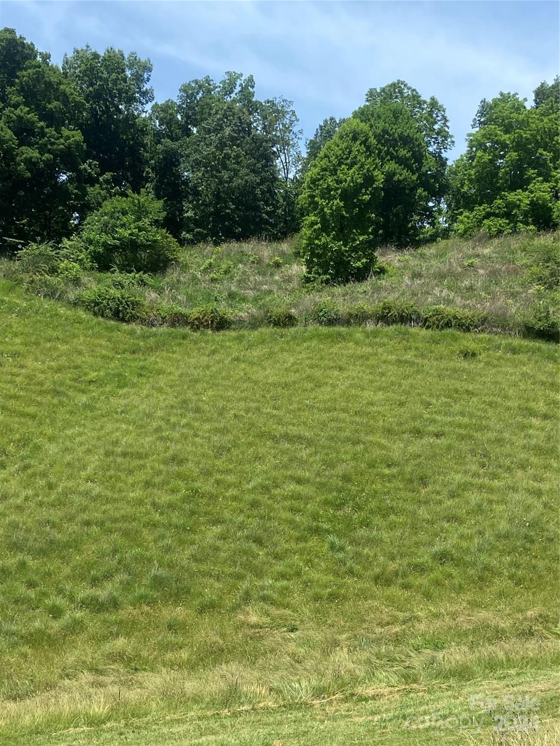 Tbd Morgan Branch Road Marshall, NC 28753 - Photo 4 of 39 Gallery Image 4