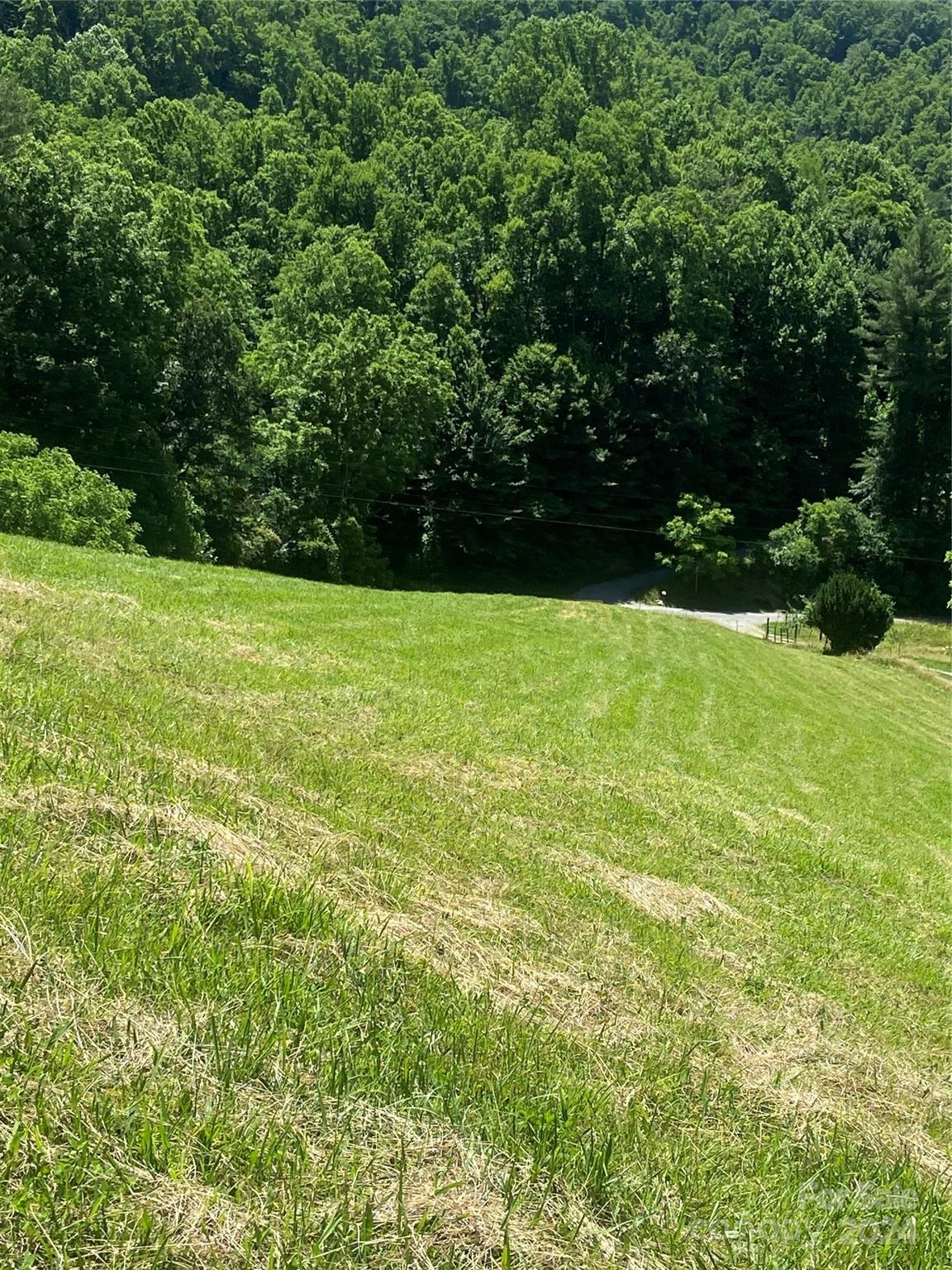 Tbd Morgan Branch Road Marshall, NC 28753 - Photo 6 of 39 Gallery Image 6