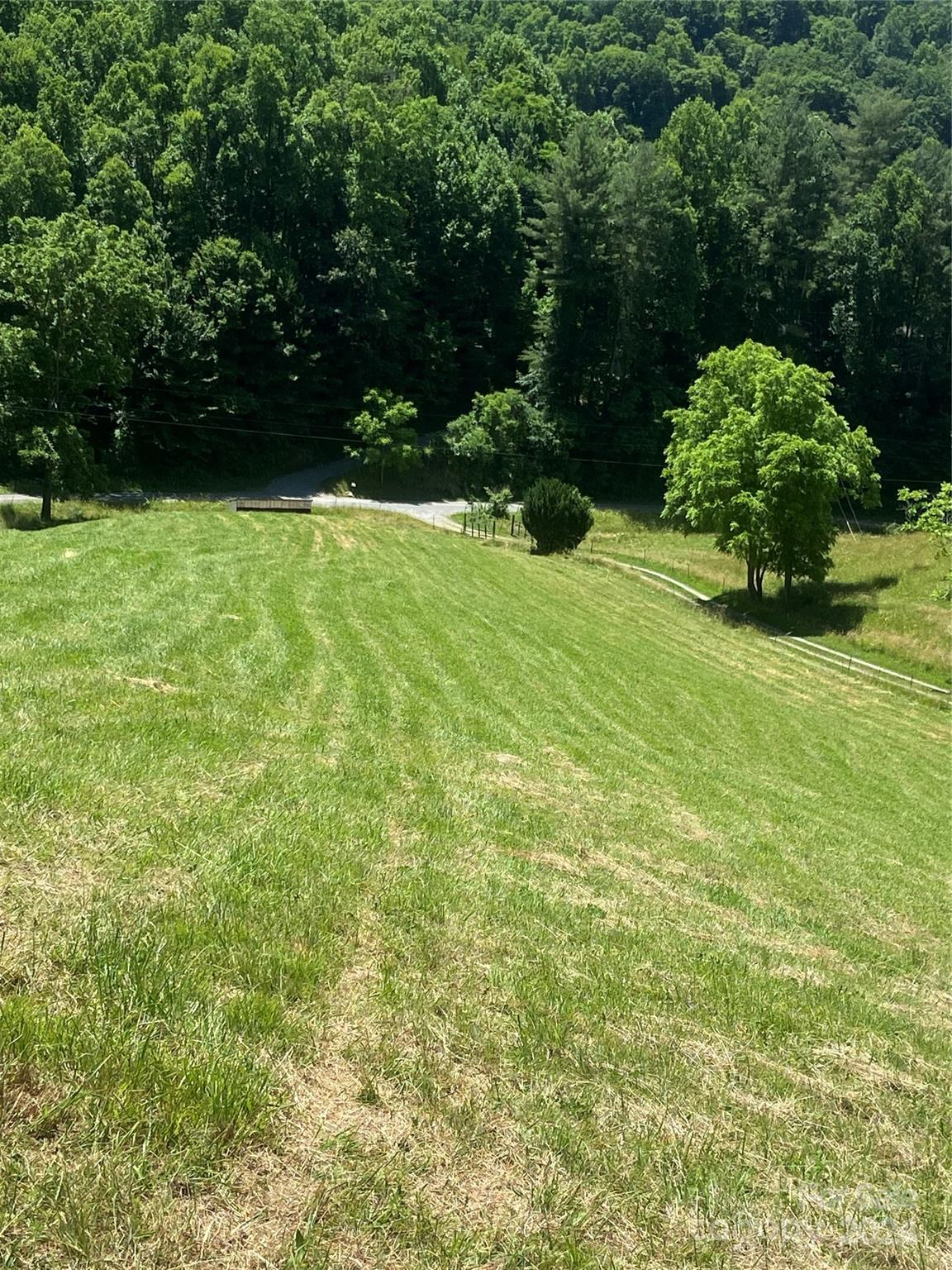 Tbd Morgan Branch Road Marshall, NC 28753 - Photo 7 of 39 Gallery Image 7