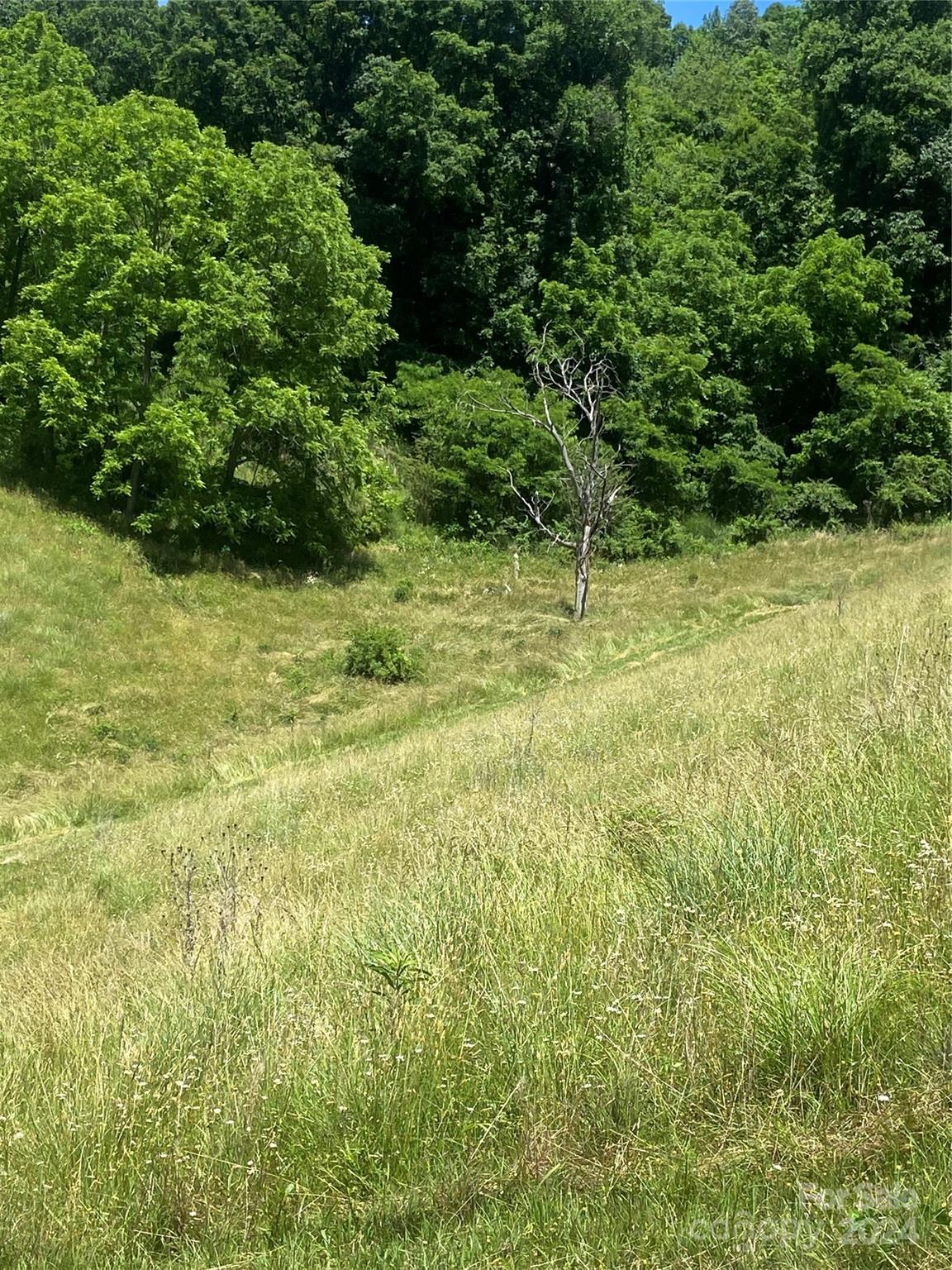Tbd Morgan Branch Road Marshall, NC 28753 - Photo 10 of 39 Gallery Image 10