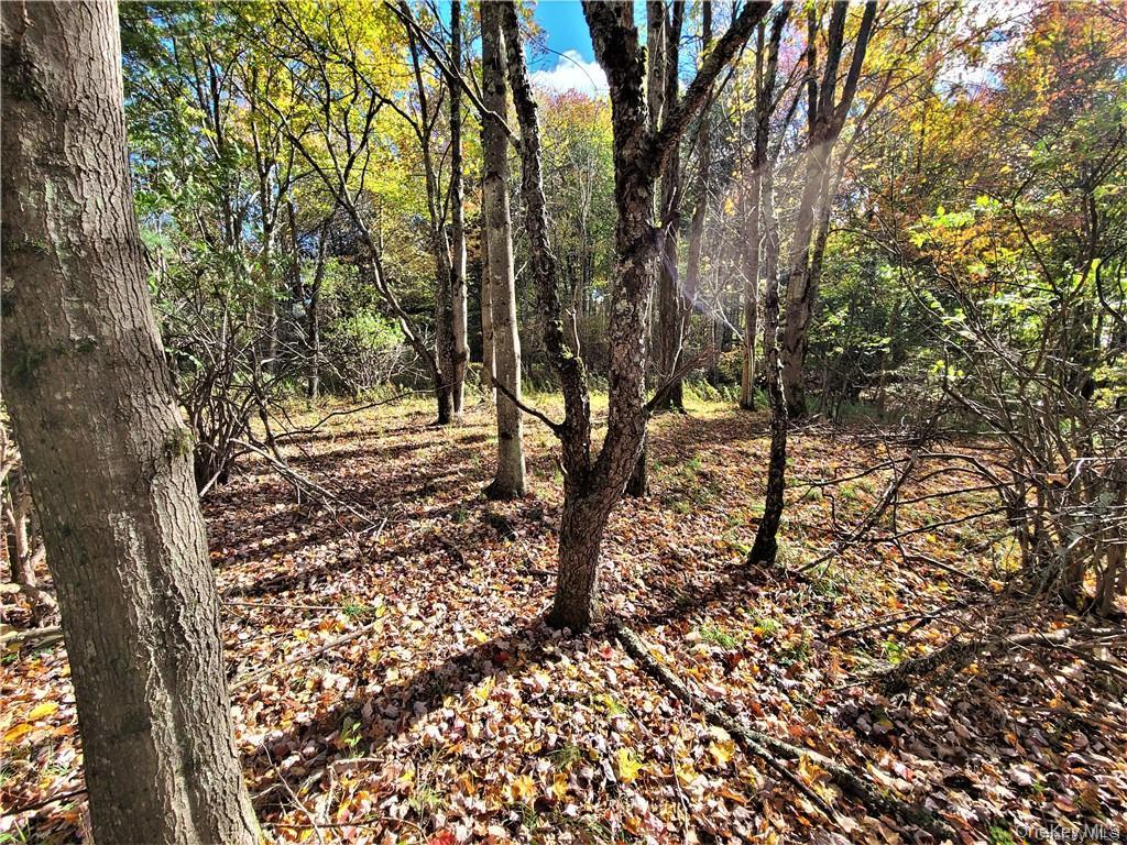 Lot 5.4 Kaufman Road Monticello, NY 12701 - Photo 34 of 45