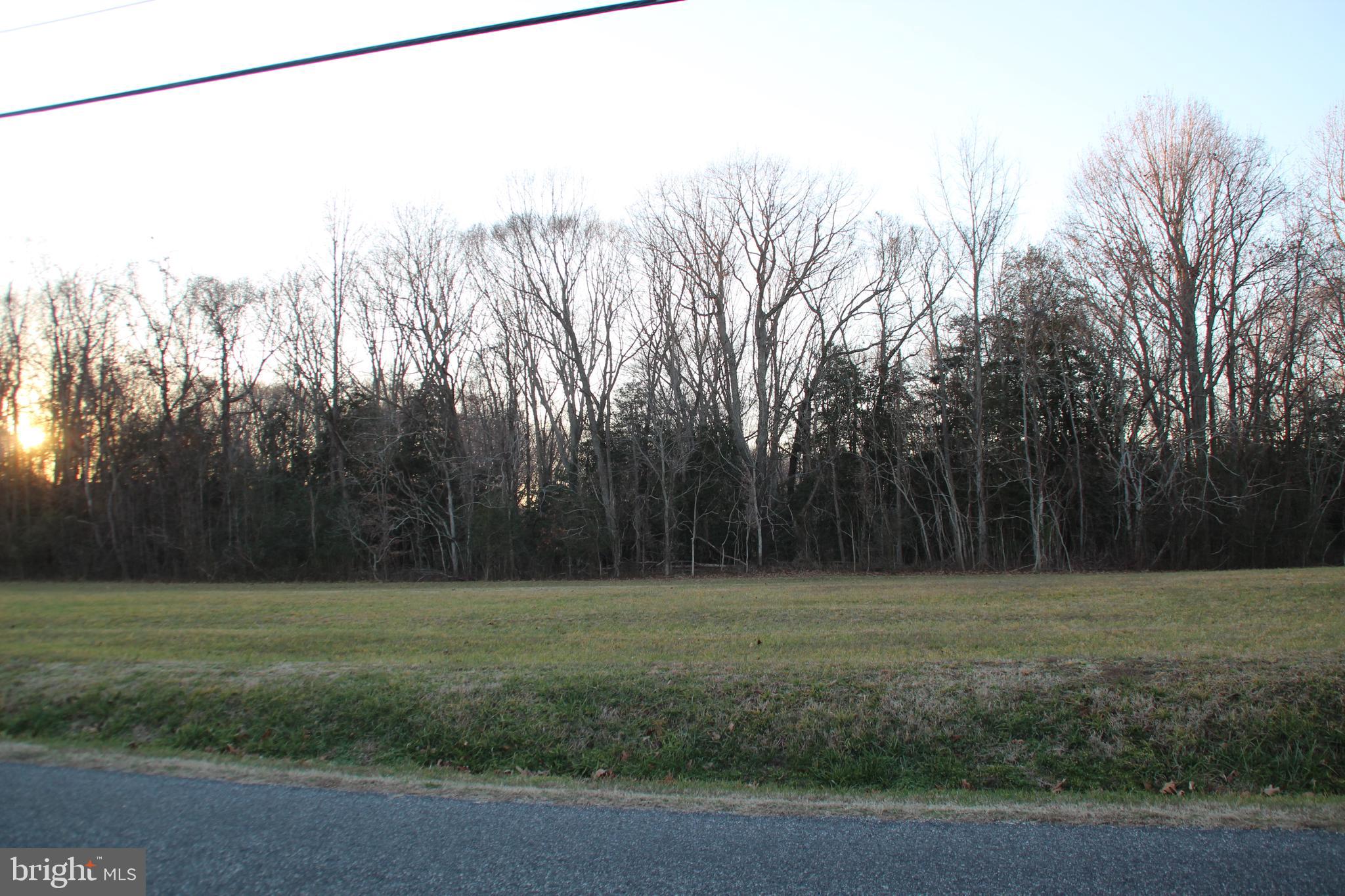 663 Prospect Hill Road Montross, VA 22520 - Photo 5 of 6 a view of a field